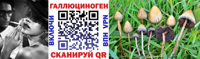 Псилоцибиновые грибы Magic Shrooms  Макушино 