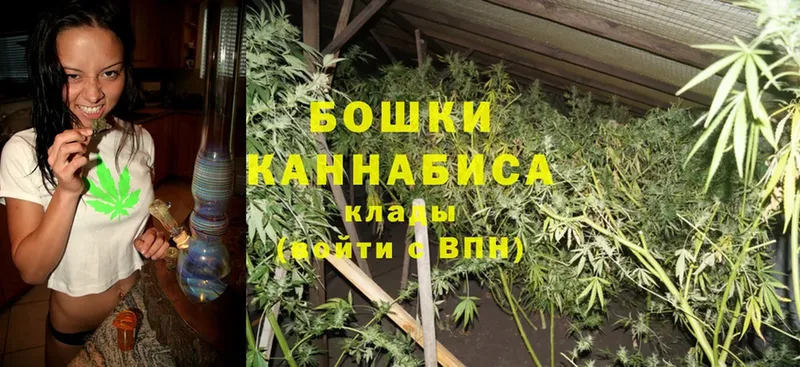 Каннабис SATIVA & INDICA  закладка  Макушино 